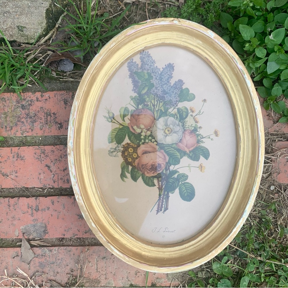 Vintage Framed Oval Botanical Print by Jean Louis (J.L.) Prevost Cottagecore Art - Picture 2 of 16
